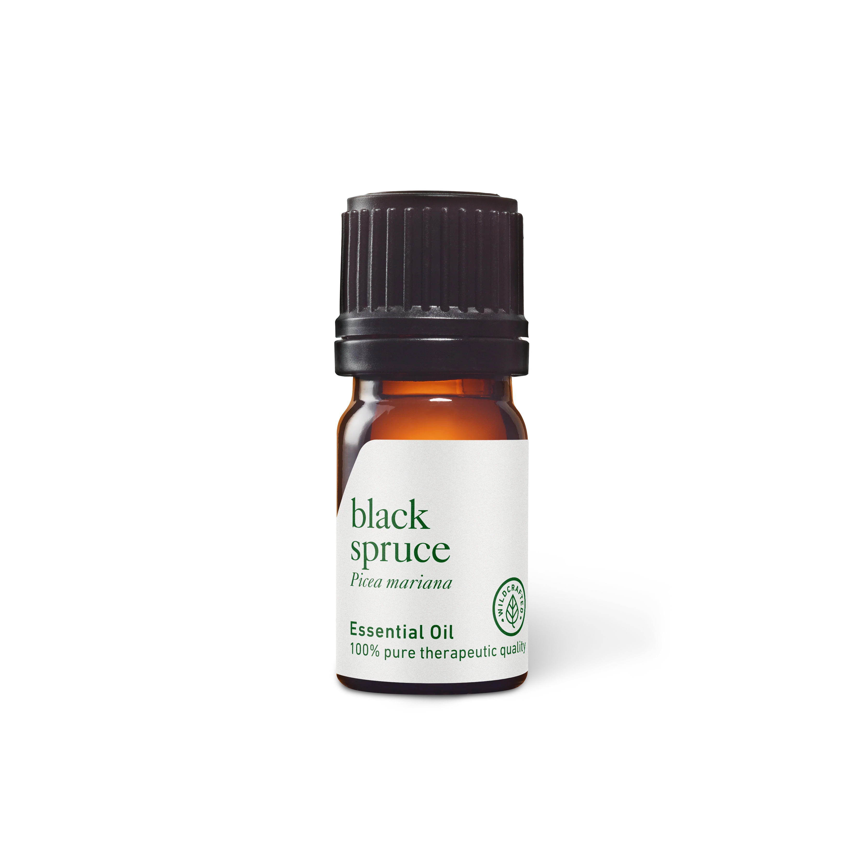 Black Spruce Essential Oil